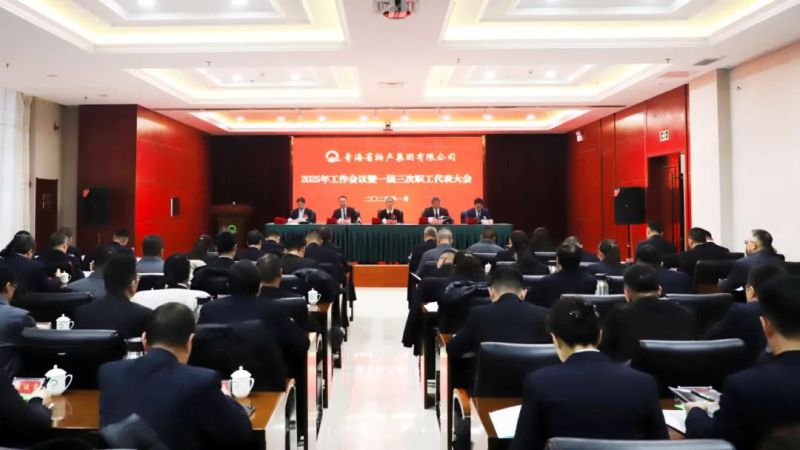 堅定信心促發(fā)展 實(shí)干爭先攀新高——省物產(chǎn)集團(tuán)2025年工作會議暨一屆三次職代會勝利召開